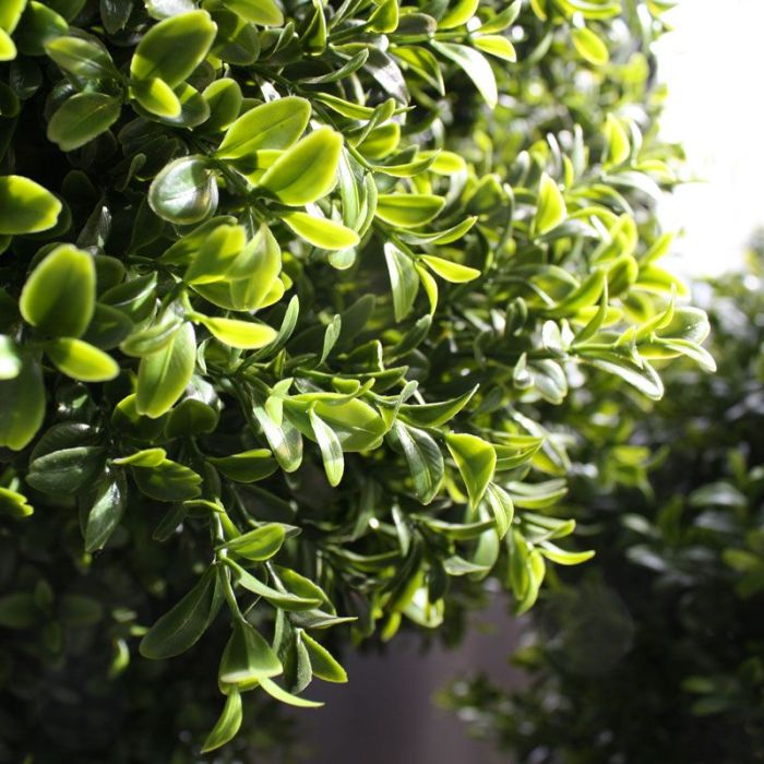 Kunst Buxusbol - Perfect Groen voor Buiten
