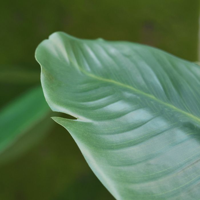 Hoge Kunstplant met Grote Groene Bladeren - Luxe Binnendecoratie