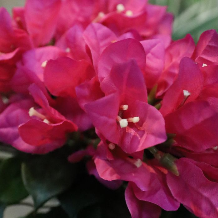 Kunstplant met Roze Bloemen - Binnendecoratie