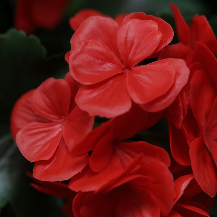 Kunst Hangplant met Rode Bloemen – Sfeervolle Buitendecoratie