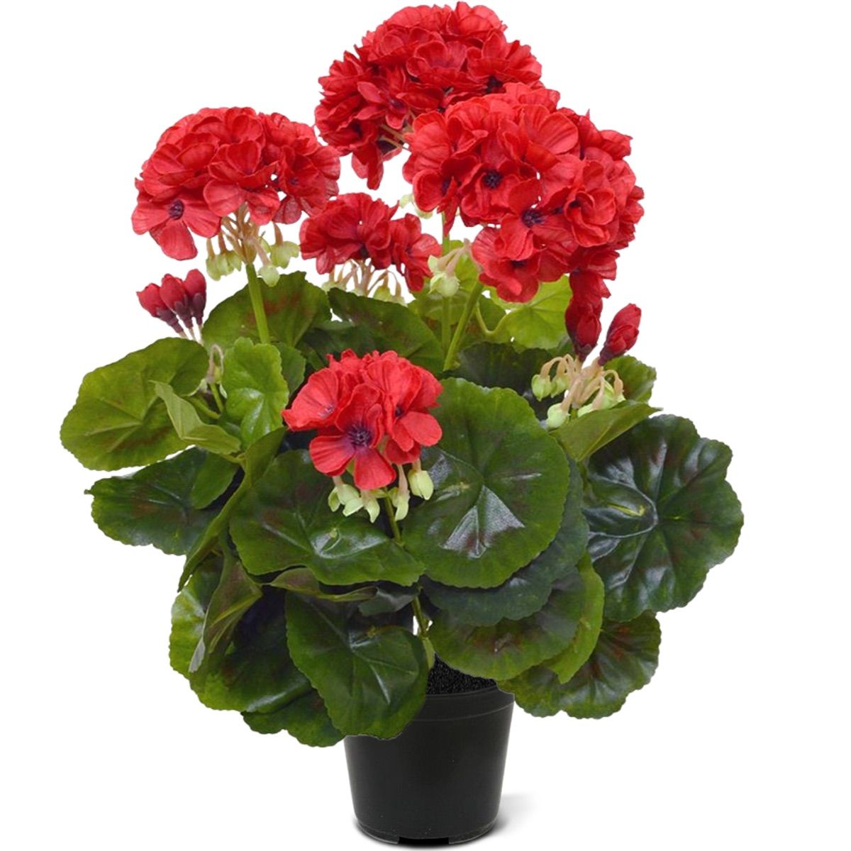Rode Kunstplanten - Binnen