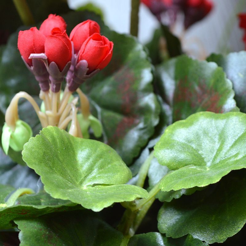 Rode Kunstplanten - Binnen