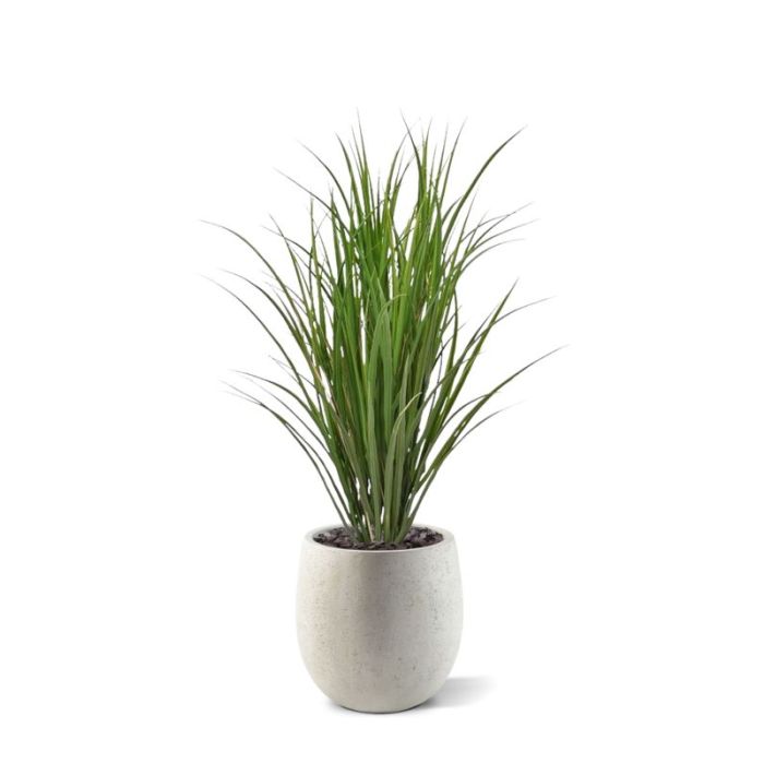 Kunst Rietgras in Pot - Stijlvolle Groene Buitendecoratie