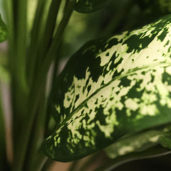 Kunstplant met Groene Bladeren in Pot - Realistisch & Onderhoudsvrij Binnendecoratie