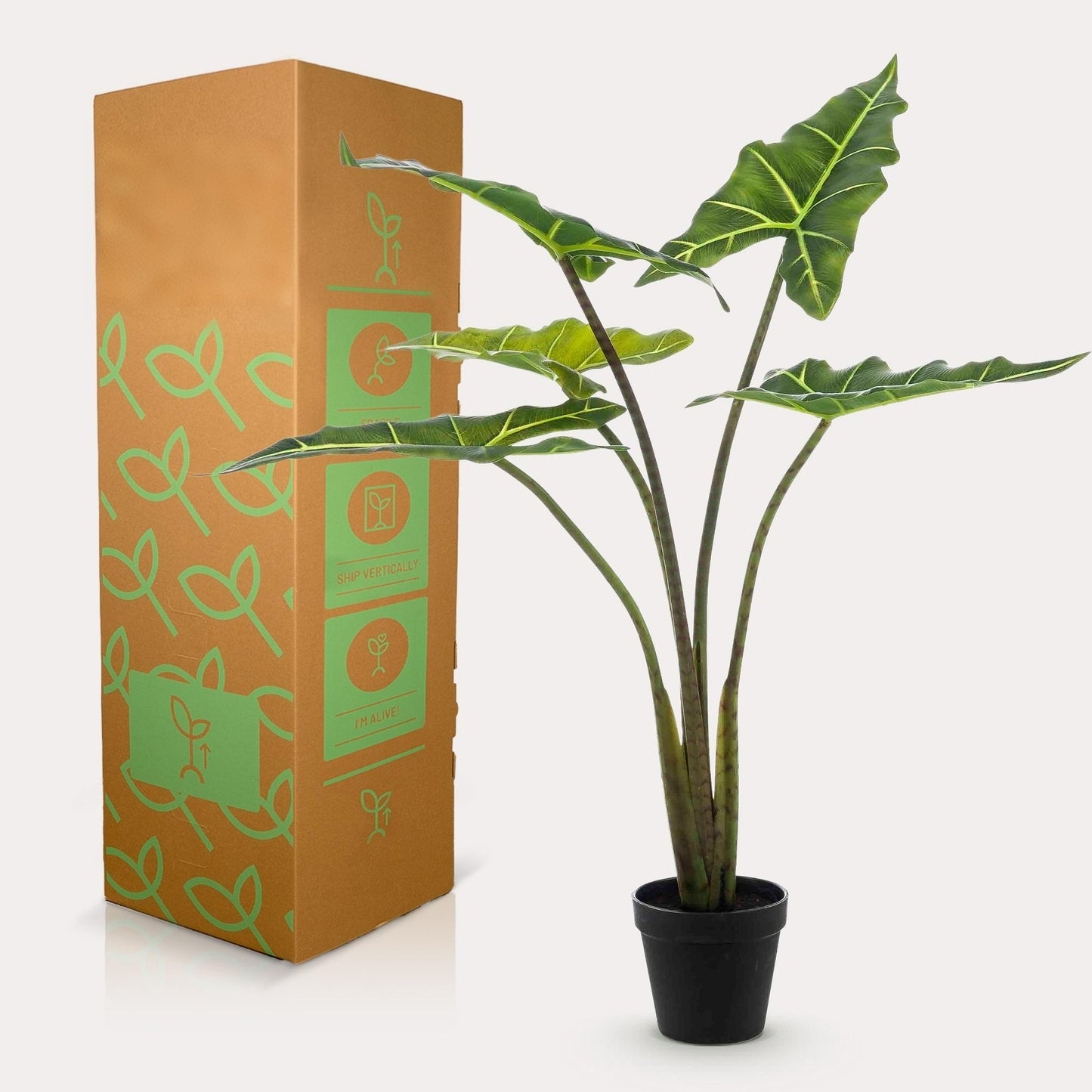 Kunstplant onderhoudsvrij | 80 cm | Binnenplant | Alocasia Frydek Olifantsoor