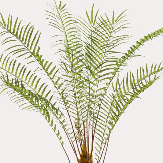 Boomvaren kunstplant 125 cm | Grote kunstvaren groene binnenplant