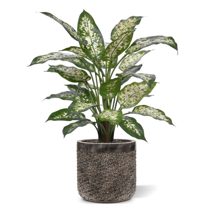 Kunstplant met Groene Bladeren in Pot - Realistisch & Onderhoudsvrij Binnendecoratie
