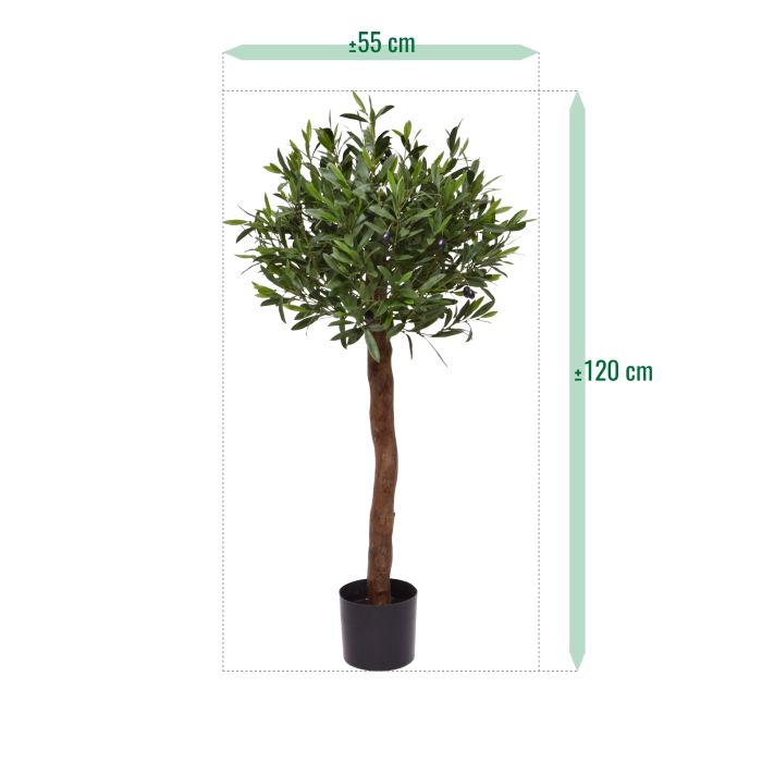 Kunst Olijfboom op Stam - Luxe Groene Buitendecoratie