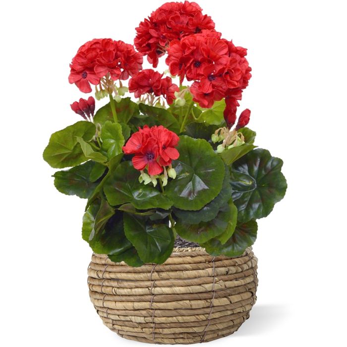 Rode Kunstplanten - Binnen
