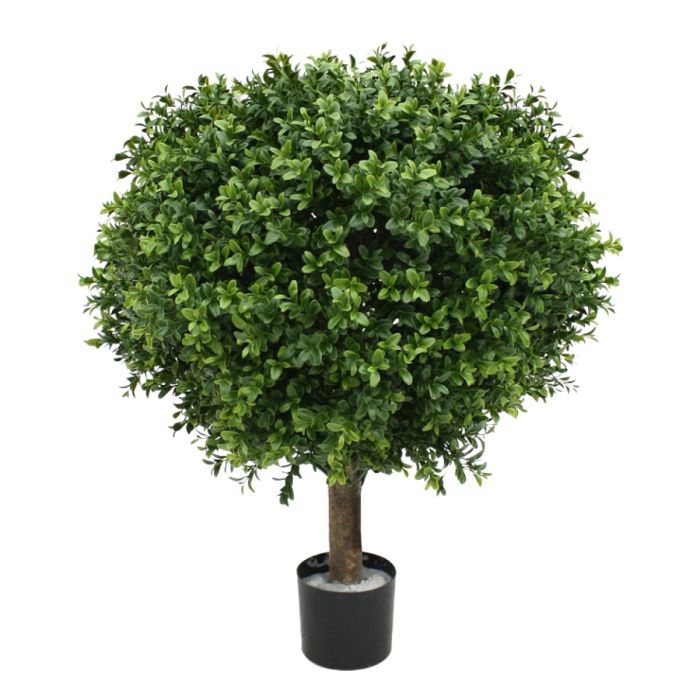 Kunst Buxusbol - Perfect Groen voor Buiten