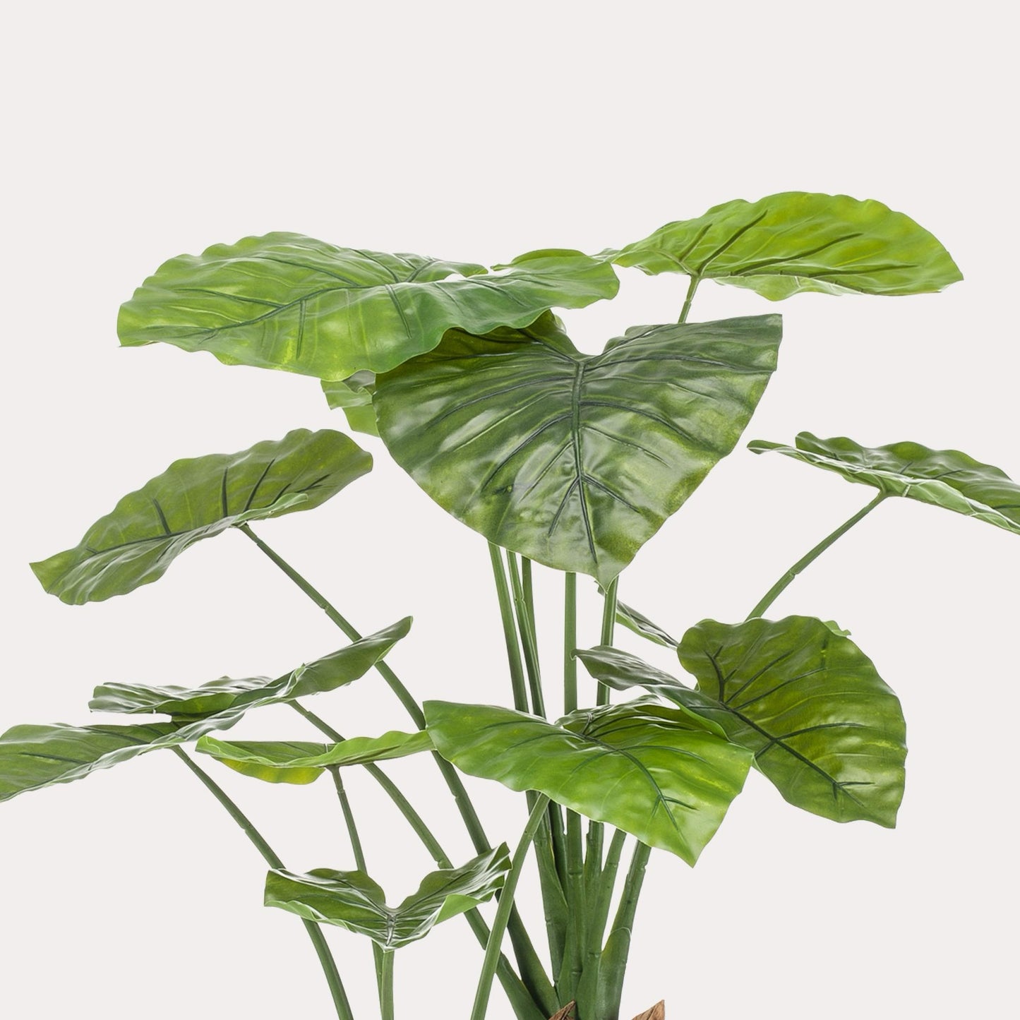 Kunstplant Alocasia Olifantsoor | 110 cm | Grote Tropische Bladplant | Realistisch & Elegant