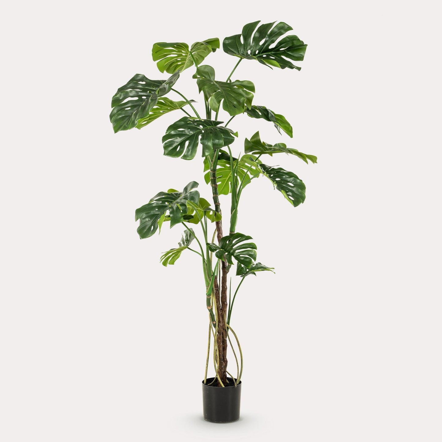 Kunstplant Monstera | 180 cm | Grote Gatenplant | Realistisch & Modern voor Binnen & Buiten