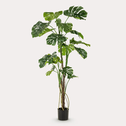 Kunstplant Monstera | 180 cm | Grote Gatenplant | Realistisch & Modern voor Binnen & Buiten