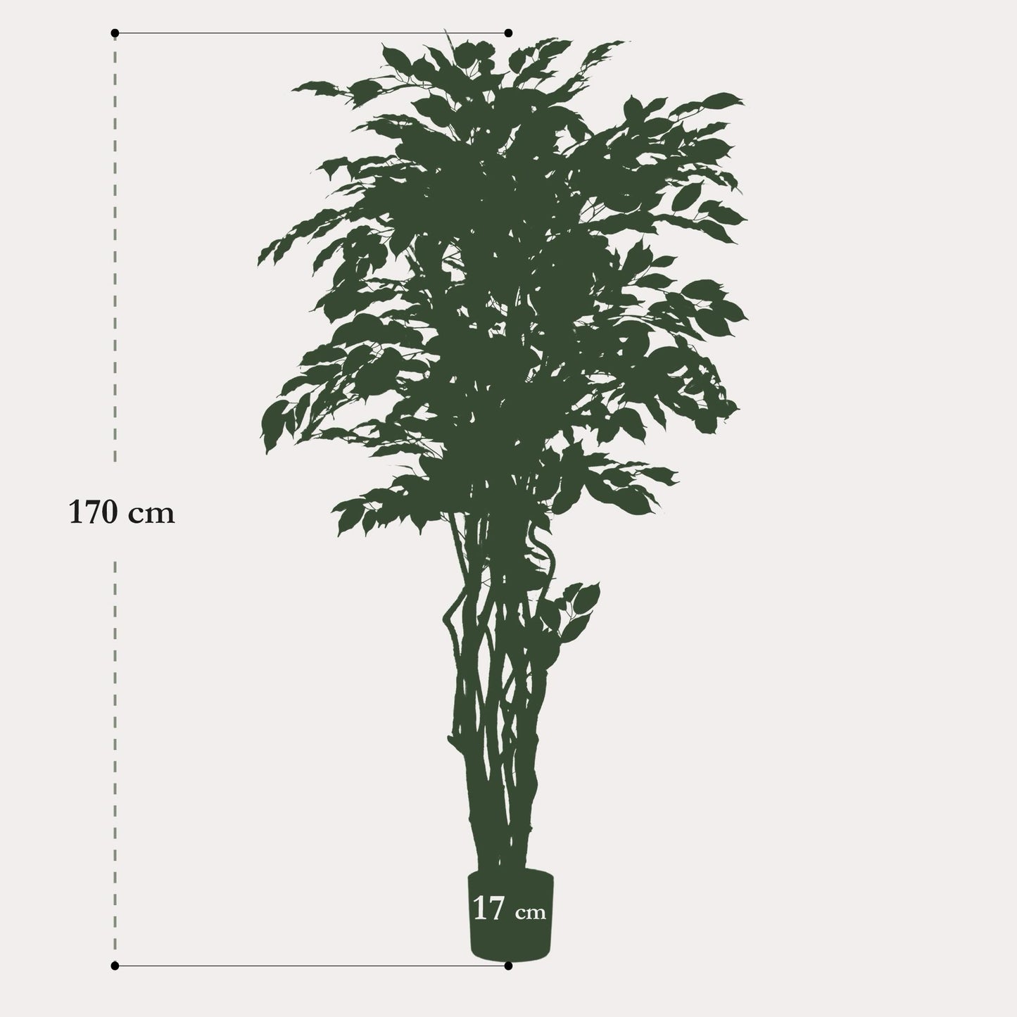 Kunstplant Ficus Liana 170 cm | Luxe Vioolbladplant | Direct Sfeereffect