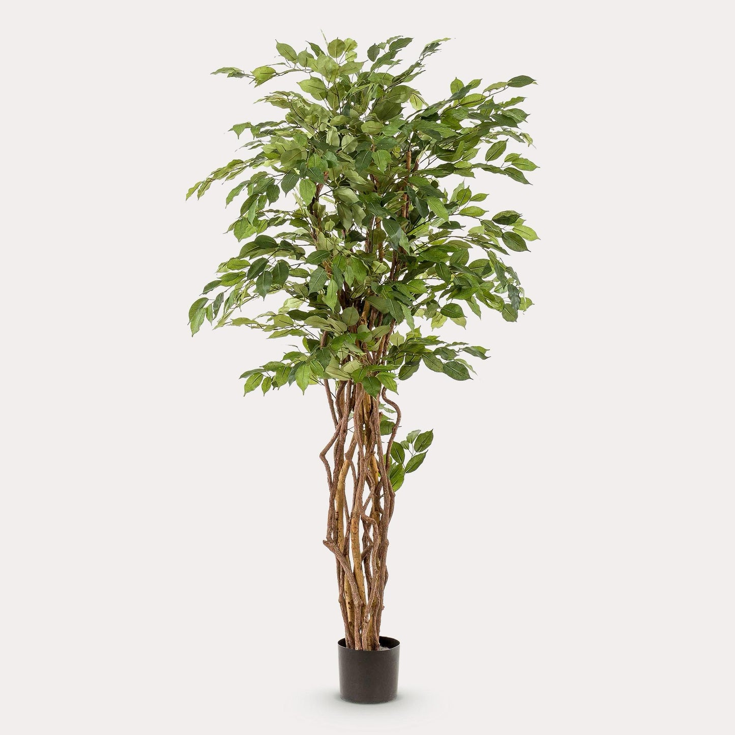 Kunstplant Ficus Liana 170 cm | Luxe Vioolbladplant | Direct Sfeereffect