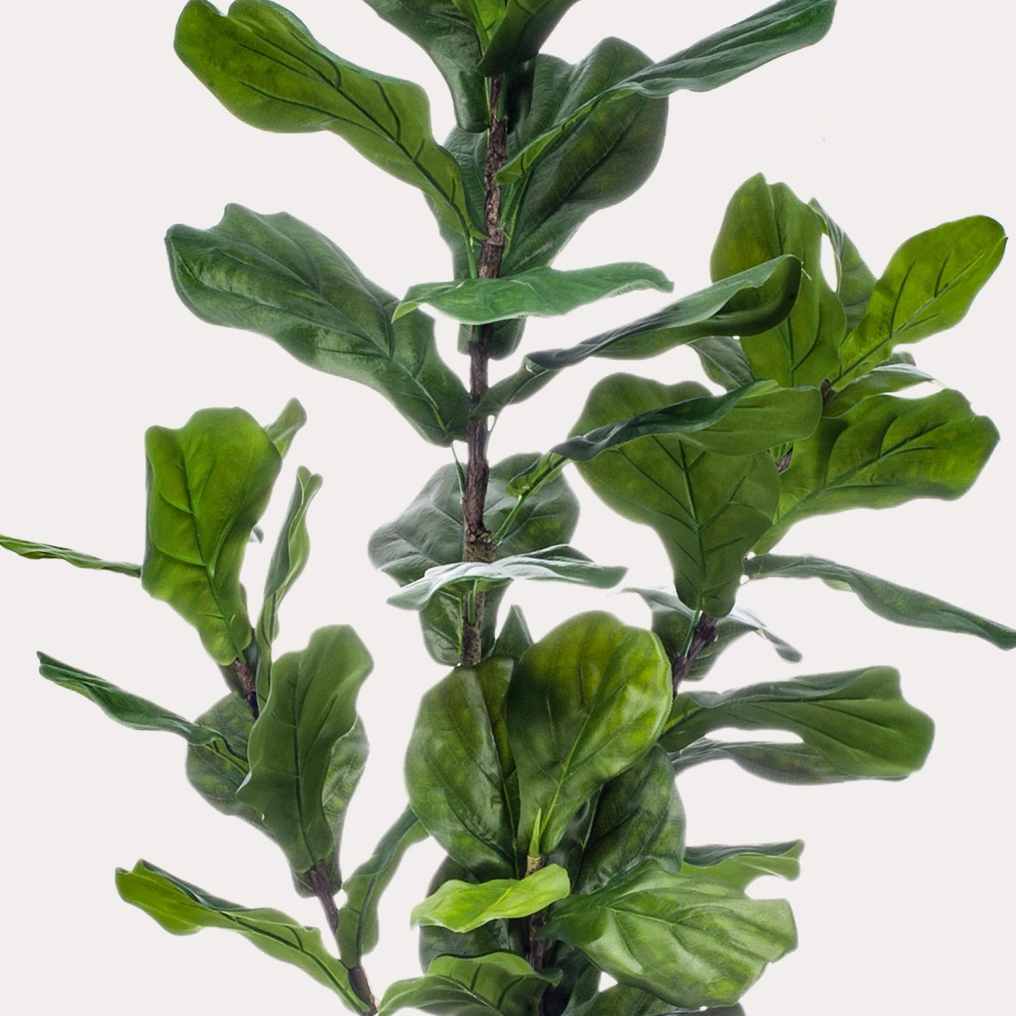 Grote Kunst Ficus 170 cm – Realistische Vioolbladplant | Modern Interieur