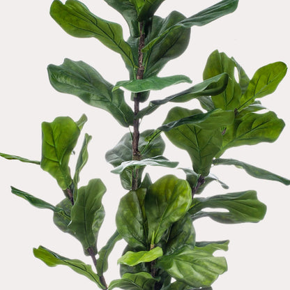 Grote Kunst Ficus 170 cm – Realistische Vioolbladplant | Modern Interieur