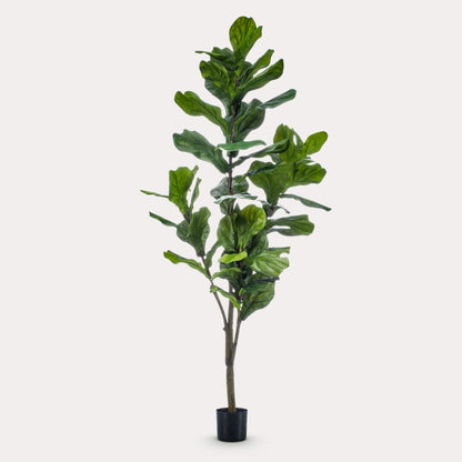 Grote Kunst Ficus 170 cm – Realistische Vioolbladplant | Modern Interieur