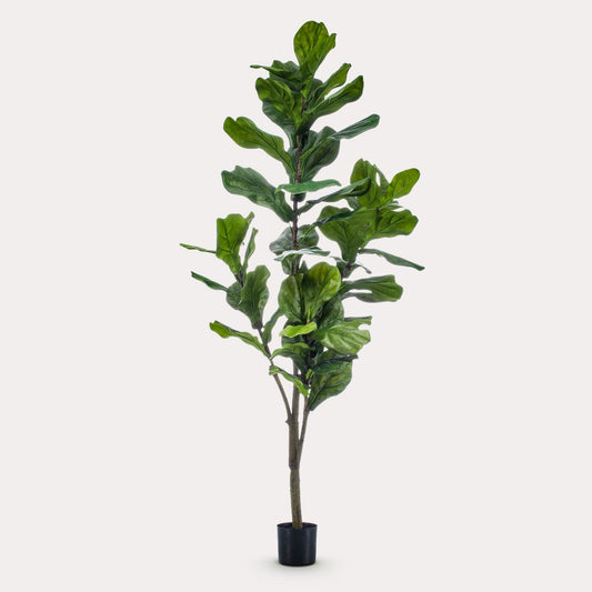 Grote Kunst Ficus 170 cm – Realistische Vioolbladplant | Modern Interieur