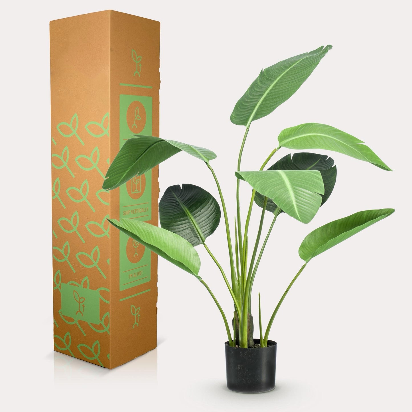 Kunstplant Ficus Lyrata 170 cm | Onderhoudsvrije Eyecatcher | Elke Ruimte