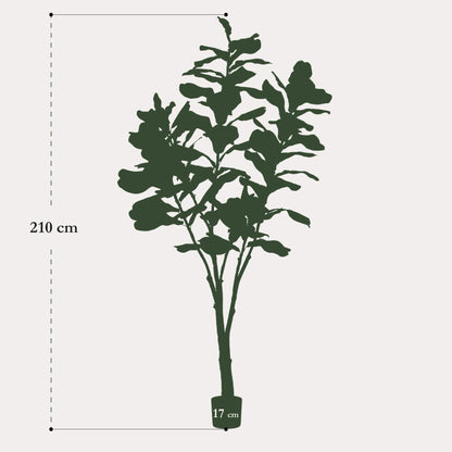 Kunstplant Ficus Premium 170 cm  | Stijlvolle Vioolbladplant | Volle Bladeren