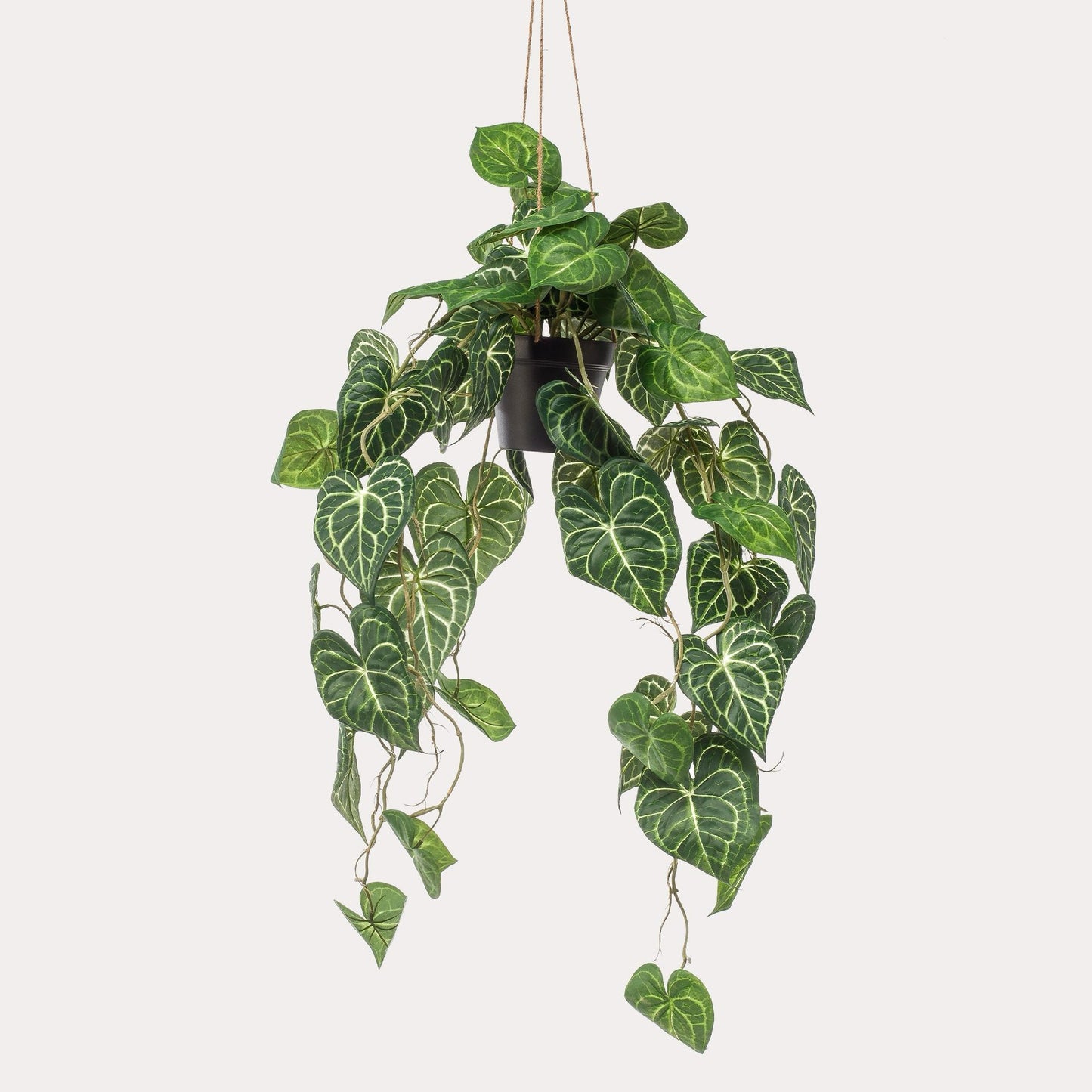 Kunstplant Anthurium Clarinervium | 80 cm | Luxe Aderplant | Realistische Bladnerven