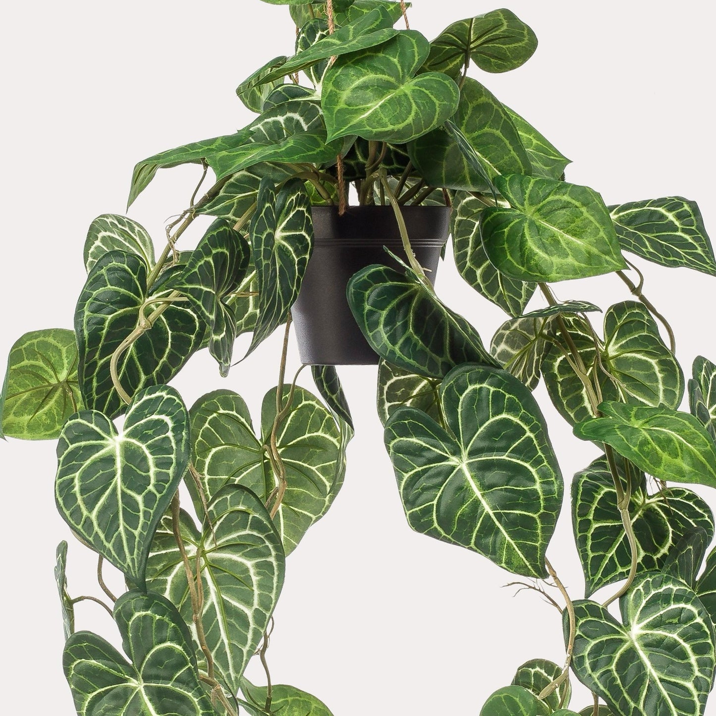 Kunstplant Anthurium Clarinervium | 80 cm | Luxe Aderplant | Realistische Bladnerven