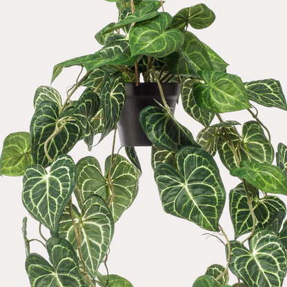 Kunstplant Anthurium Clarinervium | 80 cm | Luxe Aderplant | Realistische Bladnerven