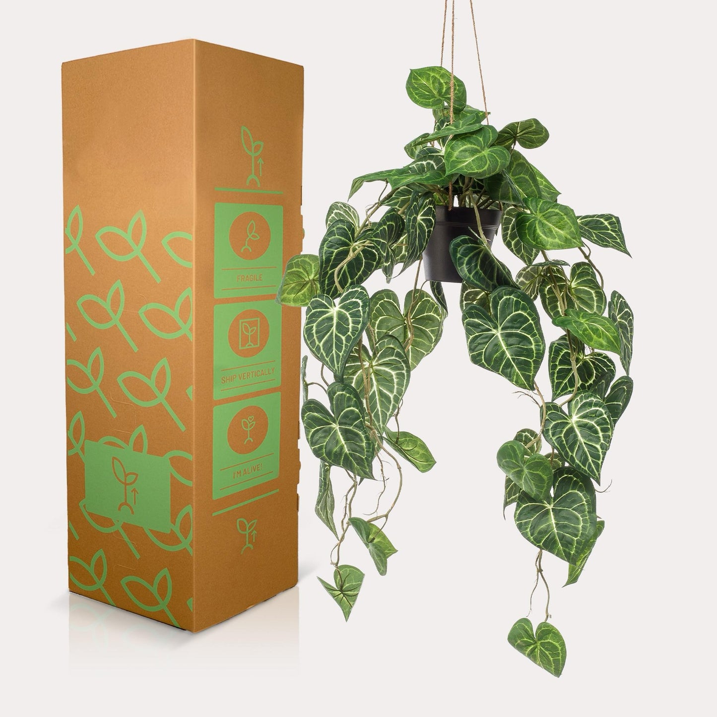 Kunstplant Anthurium Clarinervium | 80 cm | Luxe Aderplant | Realistische Bladnerven