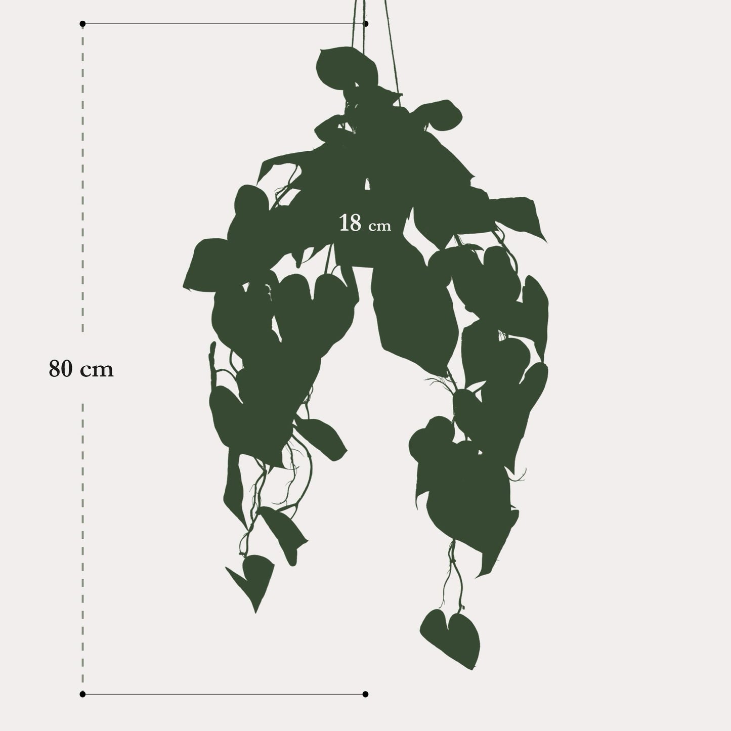 Kunstplant Anthurium Clarinervium | 80 cm | Luxe Aderplant | Realistische Bladnerven