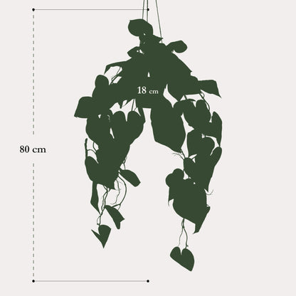 Kunstplant Anthurium Clarinervium | 80 cm | Luxe Aderplant | Realistische Bladnerven