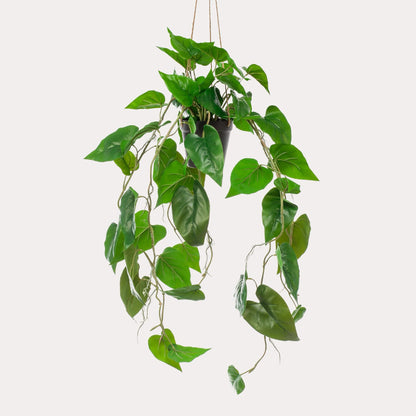 Kunst Hangplant Philodendron Scandens | 80 cm | Volle Hartvormige Bladeren | Geschikt voor Woonkamer