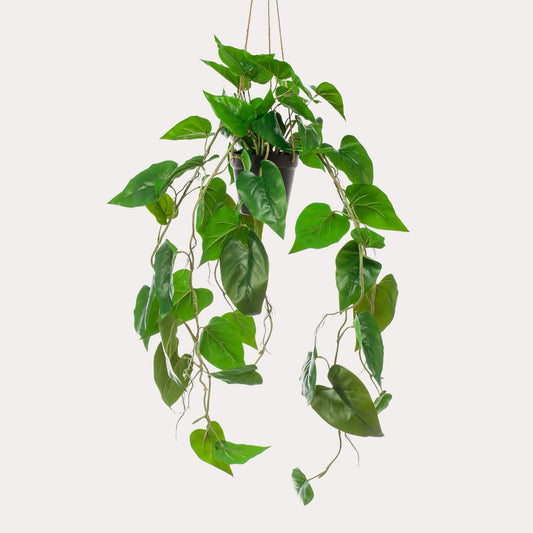 Kunst Hangplant Philodendron Scandens | 80 cm | Volle Hartvormige Bladeren | Geschikt voor Woonkamer