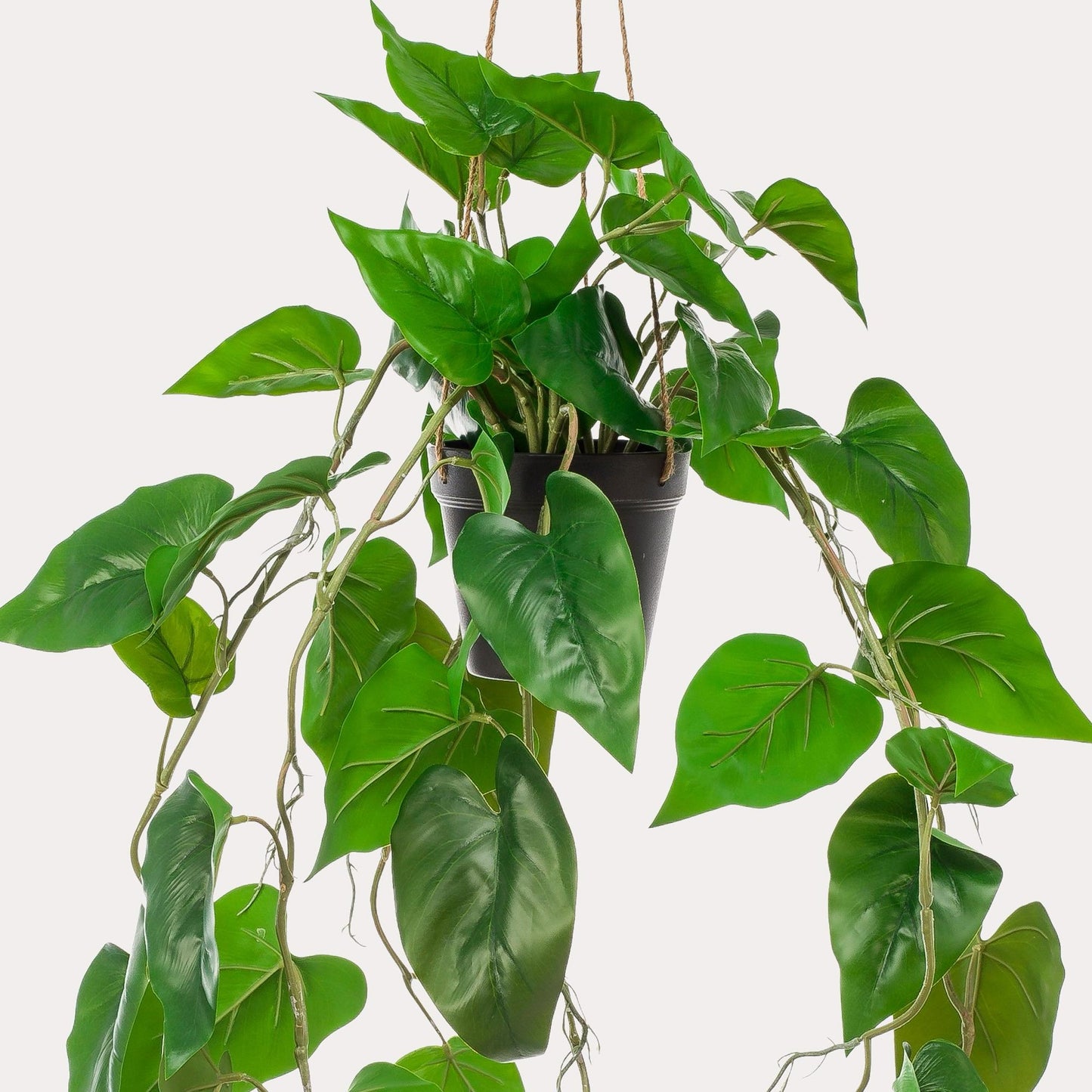 Kunst Hangplant Philodendron Scandens | 80 cm | Volle Hartvormige Bladeren | Geschikt voor Woonkamer