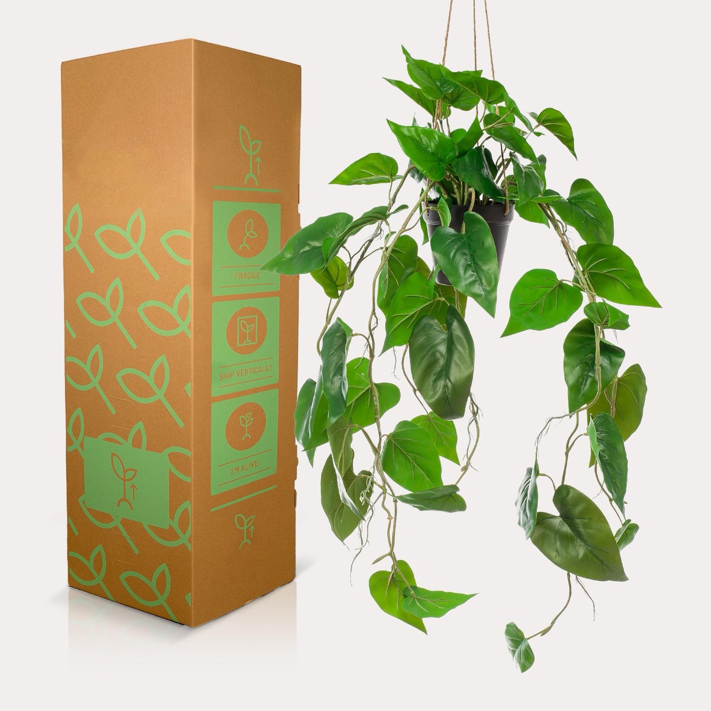 Kunst Hangplant Philodendron Scandens | 80 cm | Volle Hartvormige Bladeren | Geschikt voor Woonkamer