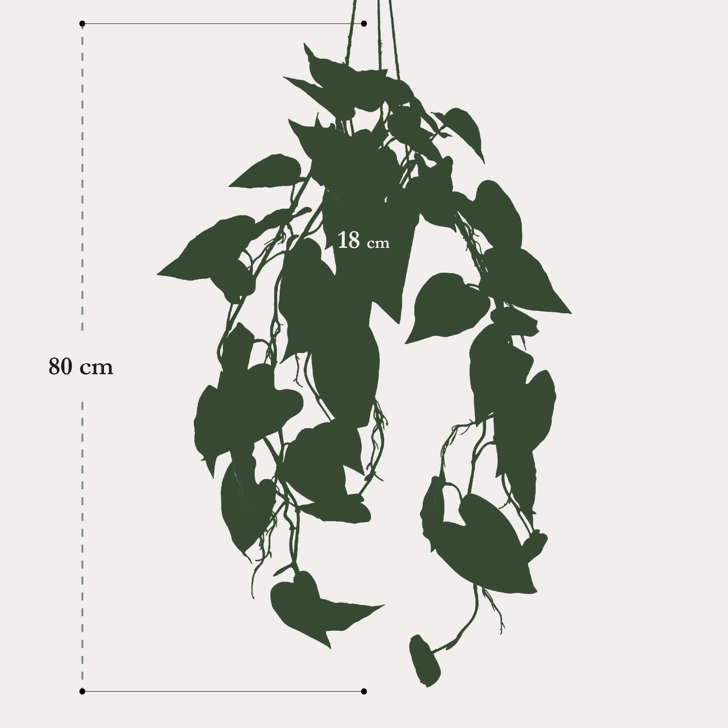 Kunst Hangplant Philodendron Scandens | 80 cm | Volle Hartvormige Bladeren | Geschikt voor Woonkamer