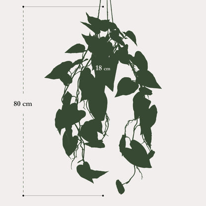 Kunst Hangplant Philodendron Scandens | 80 cm | Volle Hartvormige Bladeren | Geschikt voor Woonkamer