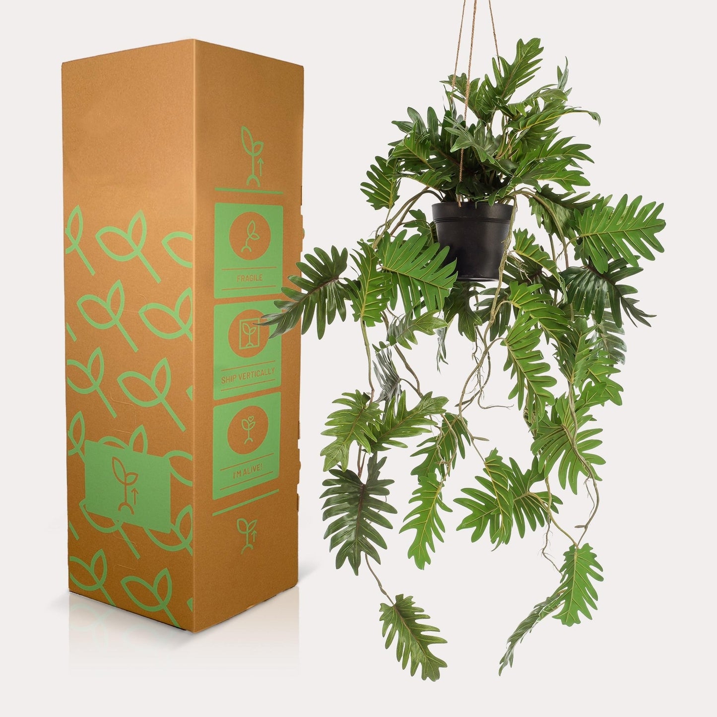 Kunst Hangplant Philodendron Scandens | 80 cm | Realistische Groene Hangplant | Modern Interieur