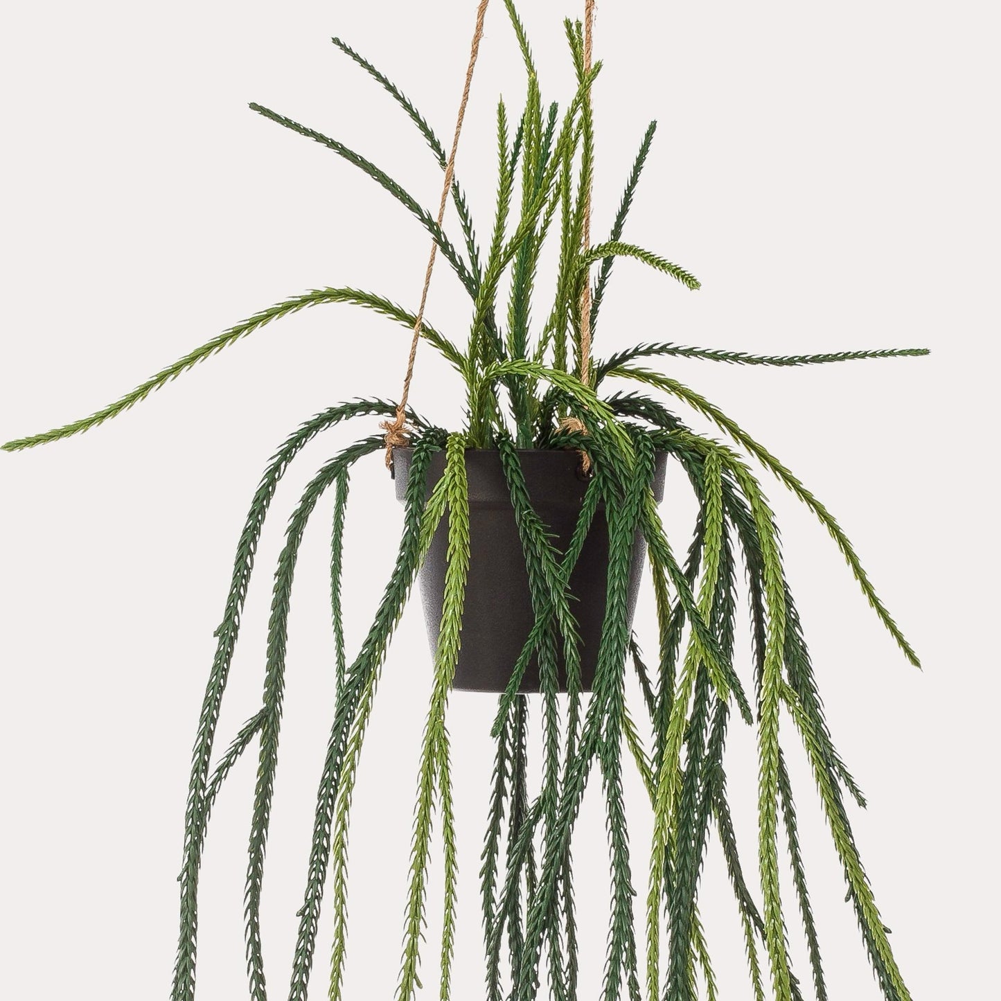 Kunst Hangplant | 85 cm | Binnenplant | Rhypsalis Koraalcactus