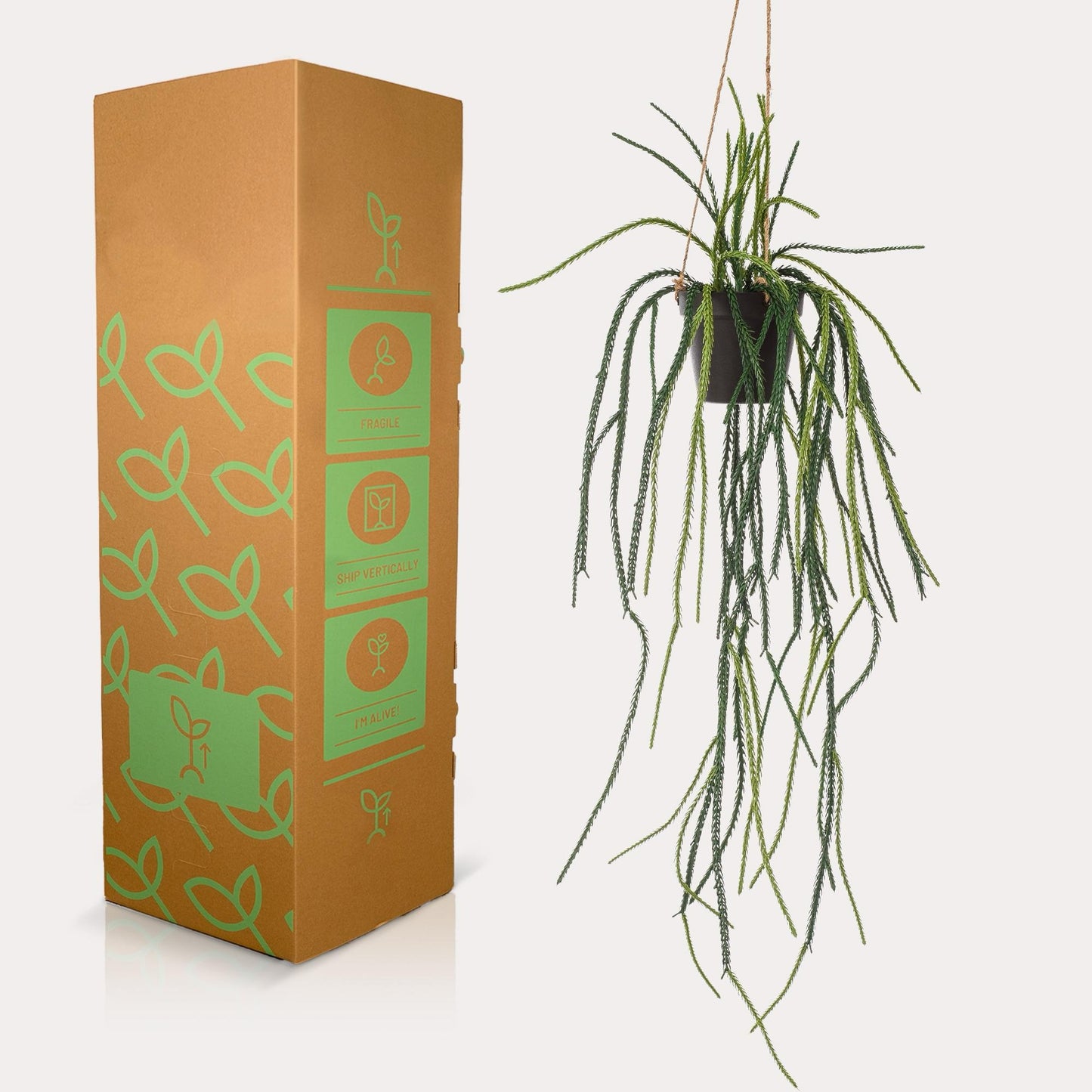 Kunst Hangplant | 85 cm | Binnenplant | Rhypsalis Koraalcactus