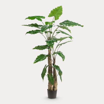 Kunstplant onderhoudsvrij | 180 cm | Binnenplant | Alocasia Olifantsoor
