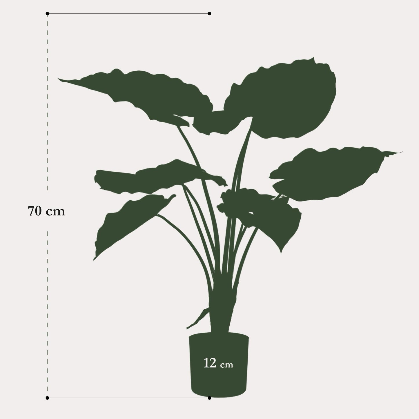 Kunstplant realistisch | 70 cm | Binnenplant | Alocasia Olifantsoor