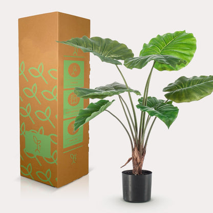 Kunstplant realistisch | 70 cm | Binnenplant | Alocasia Olifantsoor