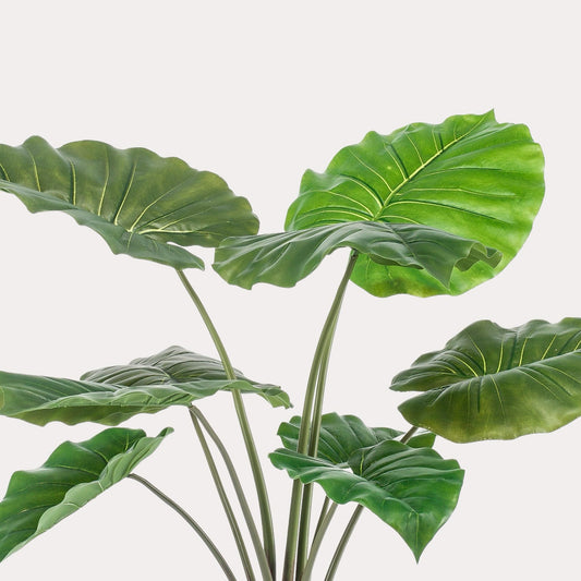Alocasia Olifantsoor 70 cm | Compacte Tropische Kunstplant