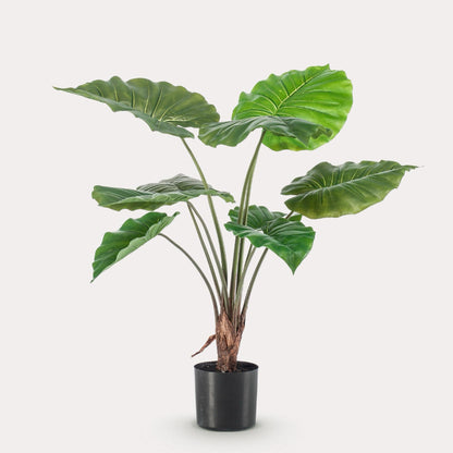 Kunstplant realistisch | 70 cm | Binnenplant | Alocasia Olifantsoor