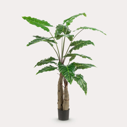 Kunstplant levensgroot | 150 cm | Binnenplant | Alocasia Olifantsoor