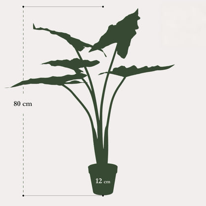 Kunstplant onderhoudsvrij | 80 cm | Binnenplant | Alocasia Frydek Olifantsoor