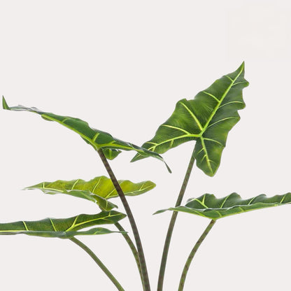 Kunstplant onderhoudsvrij | 80 cm | Binnenplant | Alocasia Frydek Olifantsoor