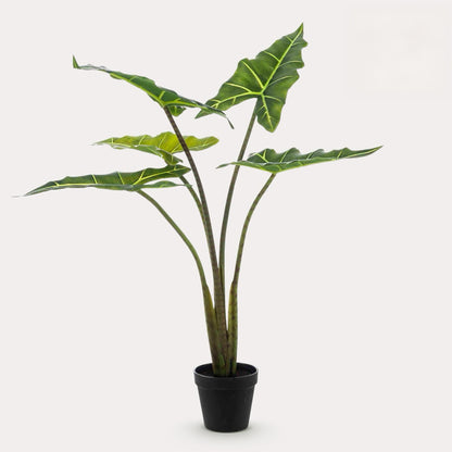 Kunstplant onderhoudsvrij | 80 cm | Binnenplant | Alocasia Frydek Olifantsoor