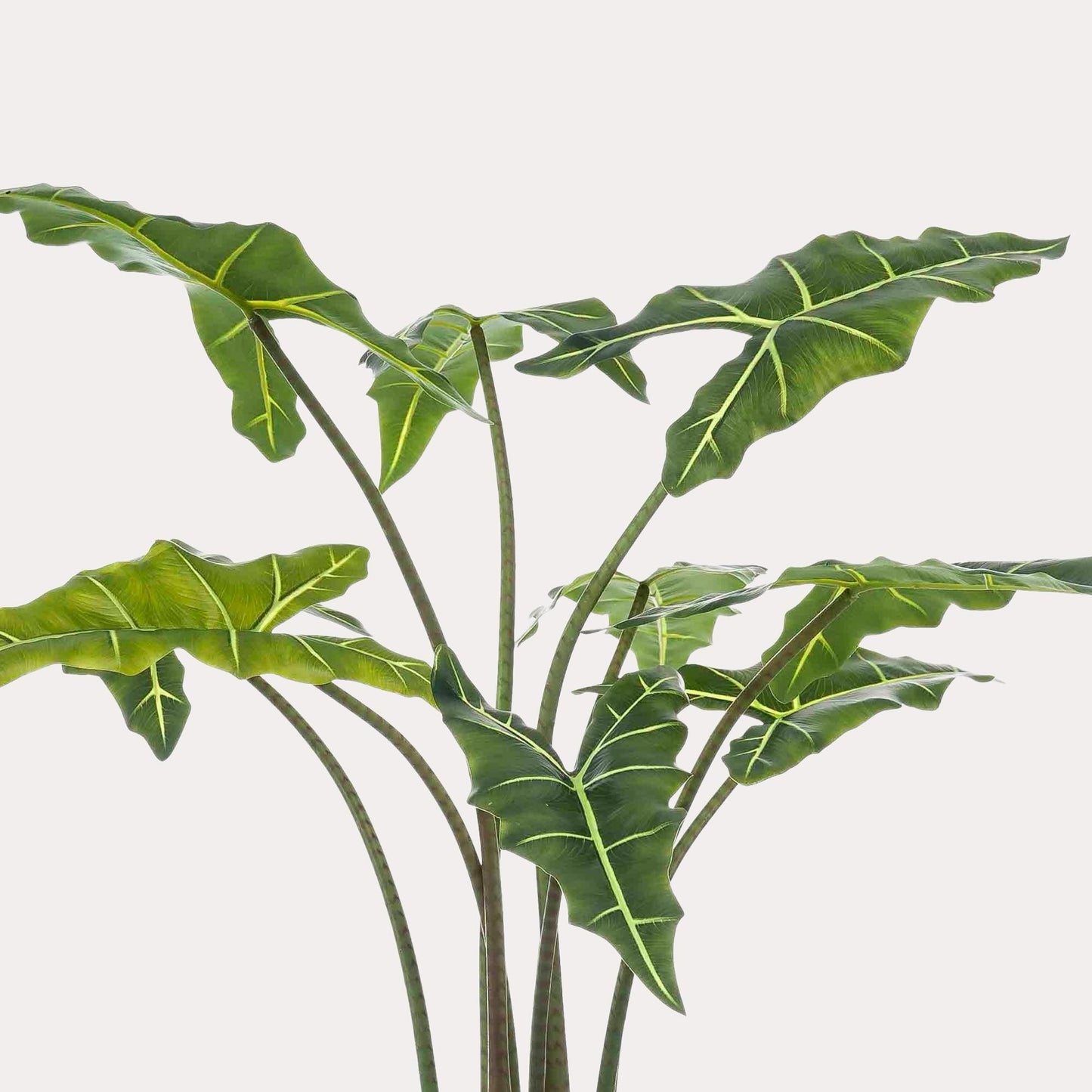 Kunstplant realistisch | 120 cm | Binnenplant | Alocasia Frydek